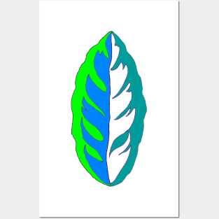 beautiful calathea leaf Posters and Art